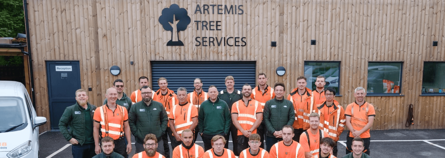 Tree Surgeon Web Design