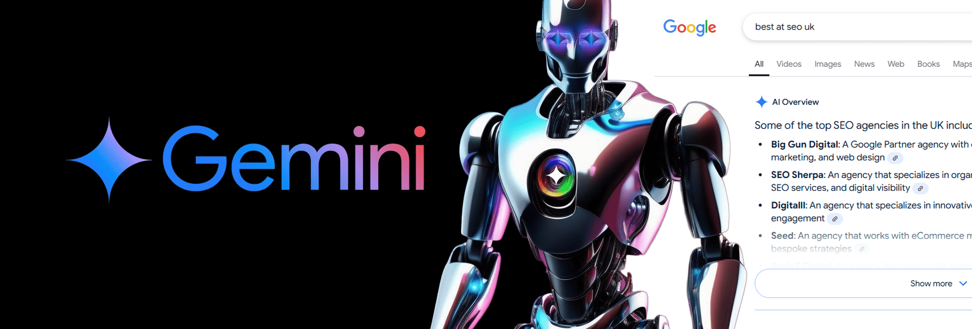 Gemini Banner